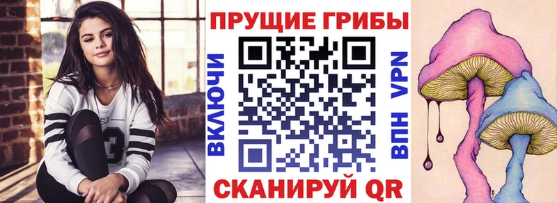 Купить  Нурлат  Псилоцибиновые грибы прущие грибы 